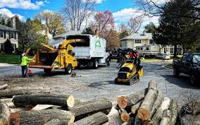 Seasonal Cleanup (Spring/Fall) in Bear Creek, FL